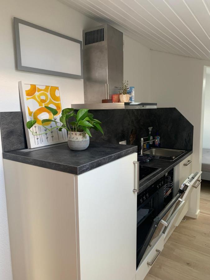Schoene, Grosse Ferienwohnung Direkt Am Donauradweg & Keltenstadt Heuneburg Herbertingen Bagian luar foto