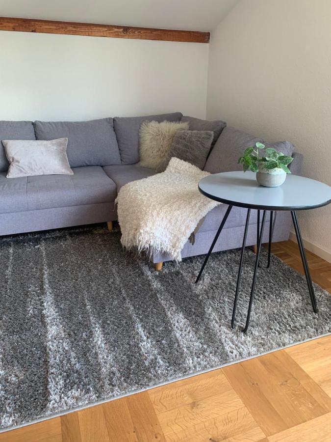 Schoene, Grosse Ferienwohnung Direkt Am Donauradweg & Keltenstadt Heuneburg Herbertingen Bagian luar foto